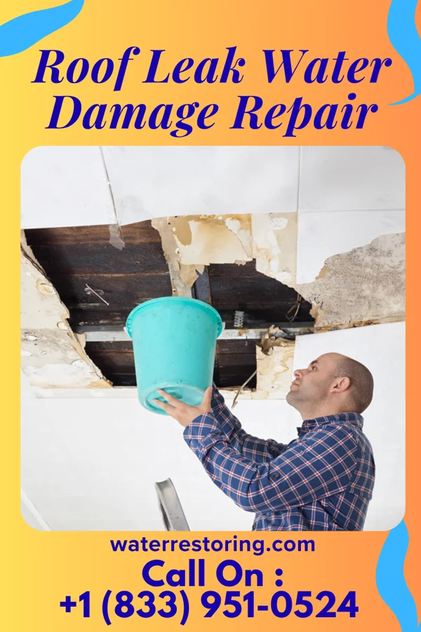 Roof Leak Water Damage Repair in Baggs, WY